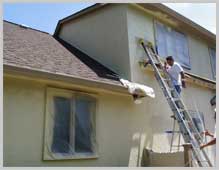 Our services