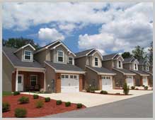 Our services