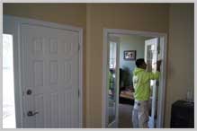Our services